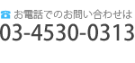 ���₢���킹�� 03-4530-0313